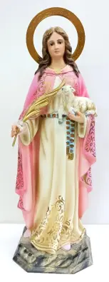 Imagen del producto 1000150062667