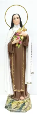Imagen del producto 1000150063336