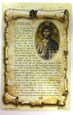 Imagen del producto 1000150099106