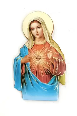 Imagen del producto 1000150100604