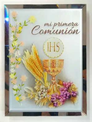 Imagen del producto 1000150120985
