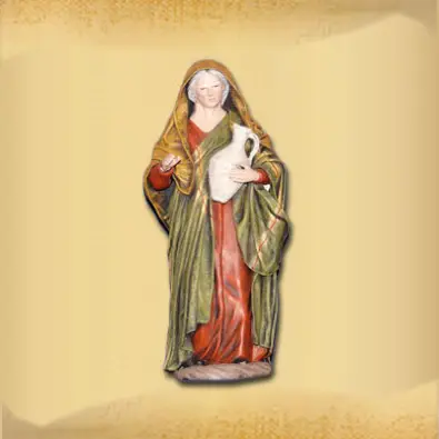 Imagen del producto 1000150151354
