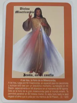 Imagen del producto 1000150151507