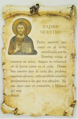 Imagen del producto 1000150156083