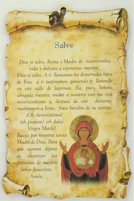Imagen del producto 1000150156106