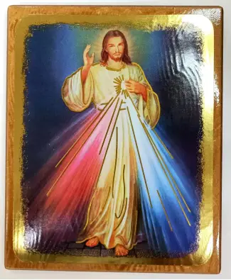 Imagen del producto 1000150158308