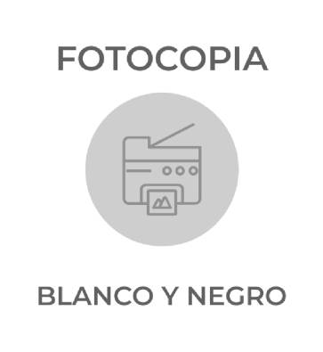 Imagen del producto 1001670001082