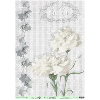 Imagen del producto 1026860004346
