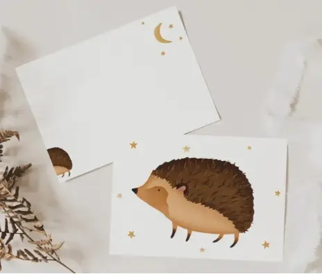 Imagen del producto 1032450013315