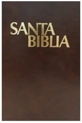 2882081707