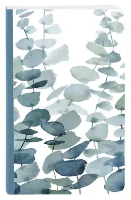 Imagen del producto 3329681156804