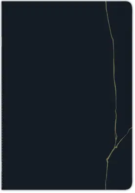 Imagen del producto 3329681156996