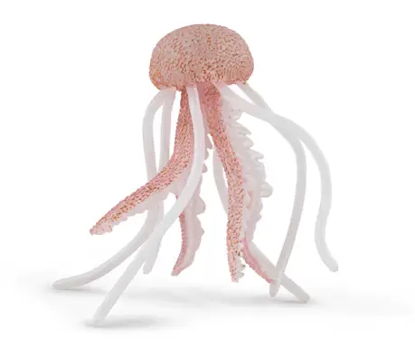 Imagen del producto 3465000560188