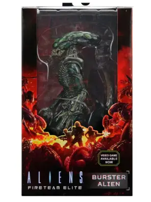 Imagen del producto 634482517215