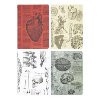 Imagen del producto 6823849558334