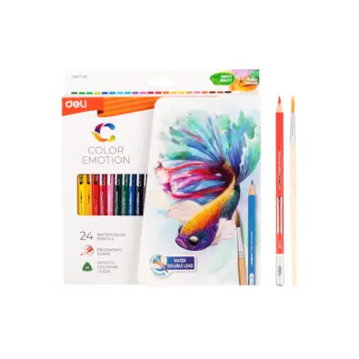 Imagen del producto 6935205309488