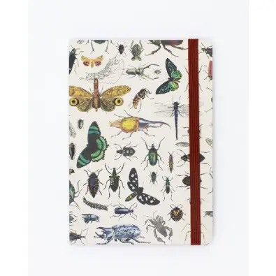 Imagen del producto 7420428879966