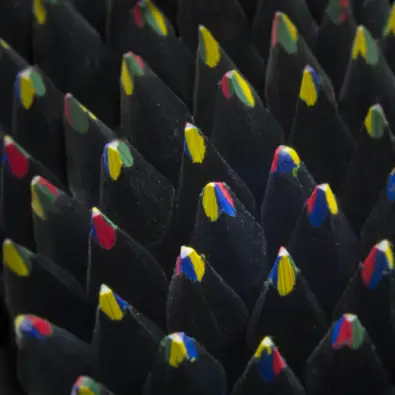 Imagen del producto 8052440649891