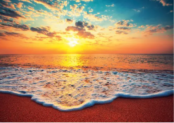 Imagen del producto 8412668190245