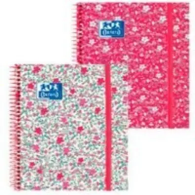 Imagen del producto 8412771018740