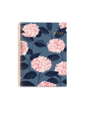 Imagen del producto 8422593340332