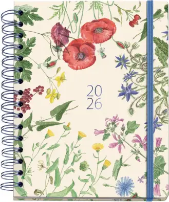 Imagen del producto 8422593345801