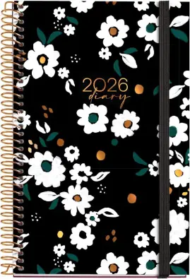 Imagen del producto 8422593382974