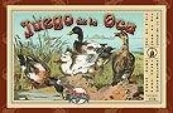 Imagen del producto 8422878805303