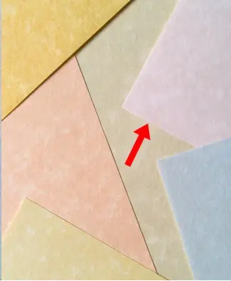 Imagen del producto 8422924000003