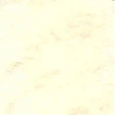 Imagen del producto 8422924511806