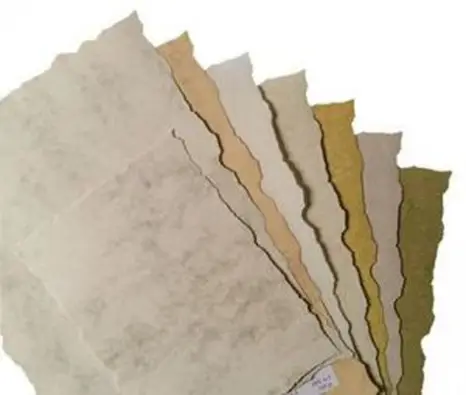 Imagen del producto 8422924554971