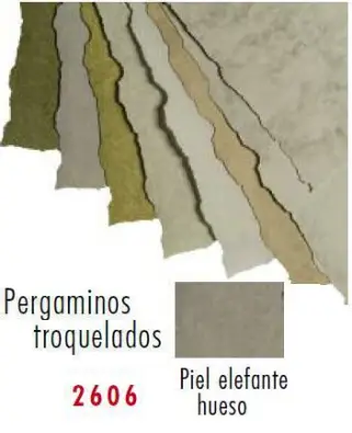 Imagen del producto 8422924555053