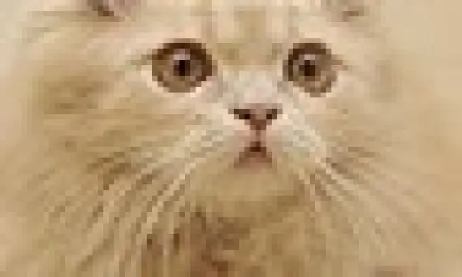 Imagen del producto 8422952122340