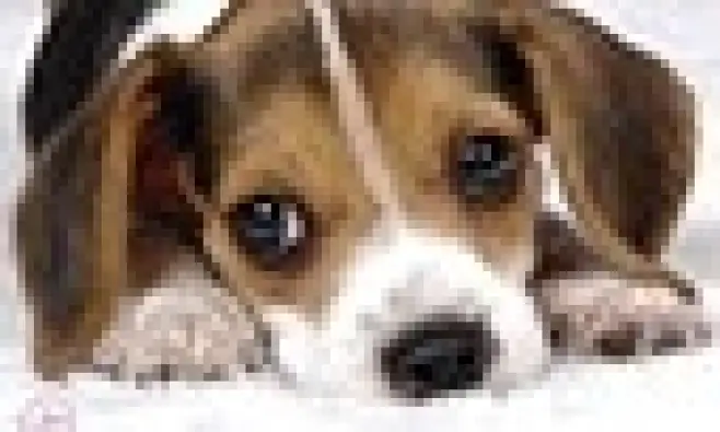 Imagen del producto 8422952122418