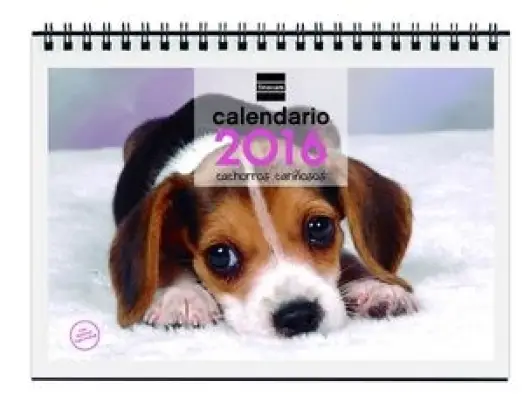 Imagen del producto 8422952122579