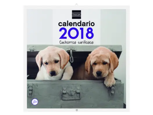 Imagen del producto 8422952154341