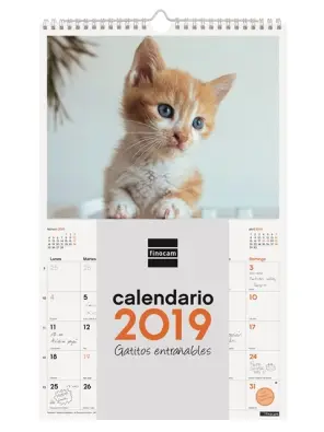 Imagen del producto 8422952173571