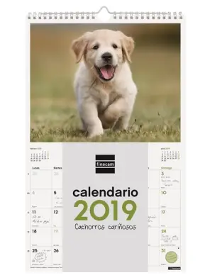 Imagen del producto 8422952173595