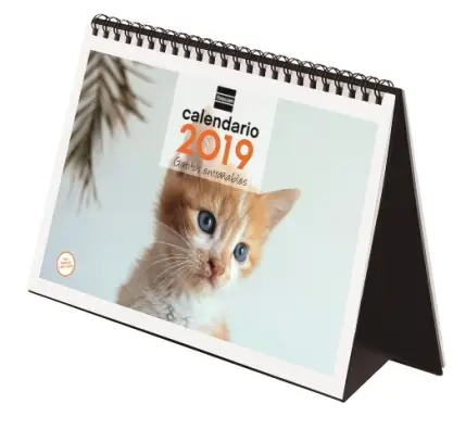 Imagen del producto 8422952173731