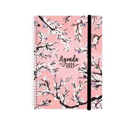 Imagen del producto 8422952308966