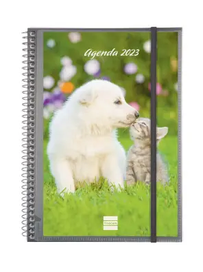 Imagen del producto 8422952350422