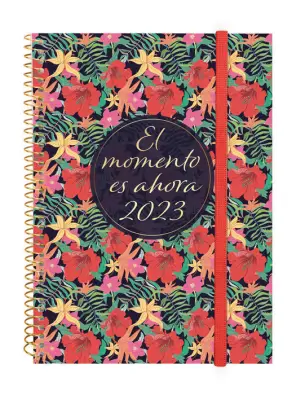 Imagen del producto 8422952351351