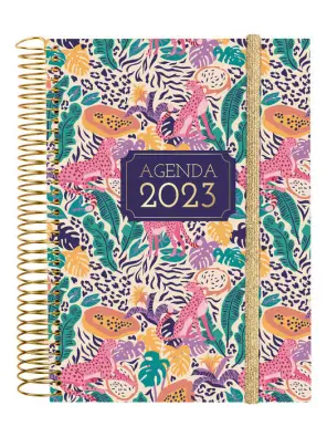 Imagen del producto 8422952351511