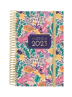 Imagen del producto 8422952351566