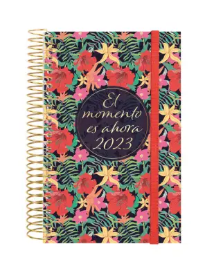 Imagen del producto 8422952351603