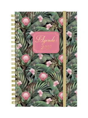 Imagen del producto 8422952351719