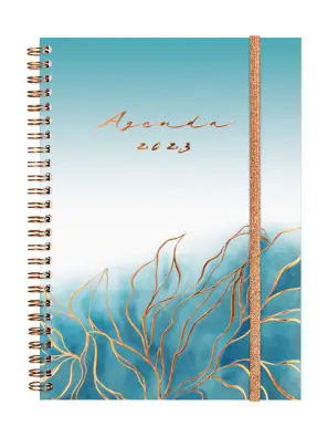 Imagen del producto 8422952351740