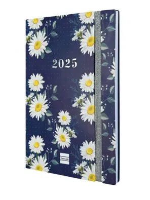 Imagen del producto 8422952377245