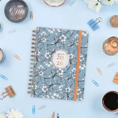 Imagen del producto 8422952405535