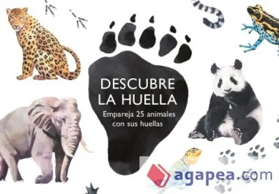  Imatge del producte8425402274767